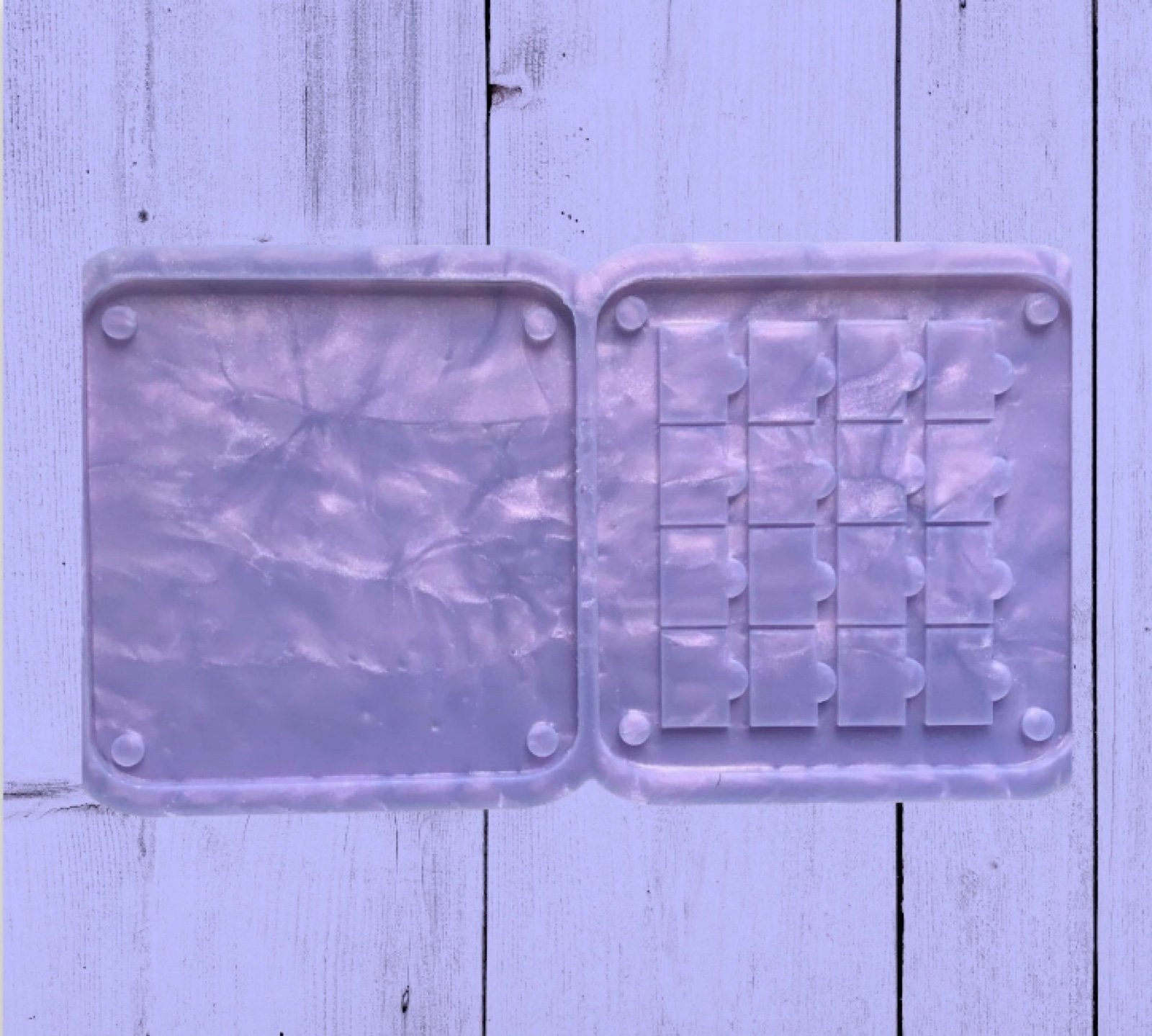 Switch Game Case Resin Mold