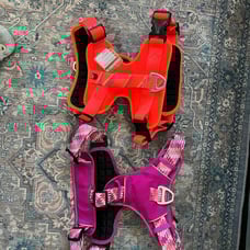 NEW! Two dog harness Arcadia Trail® (style not sold anymore in stores)