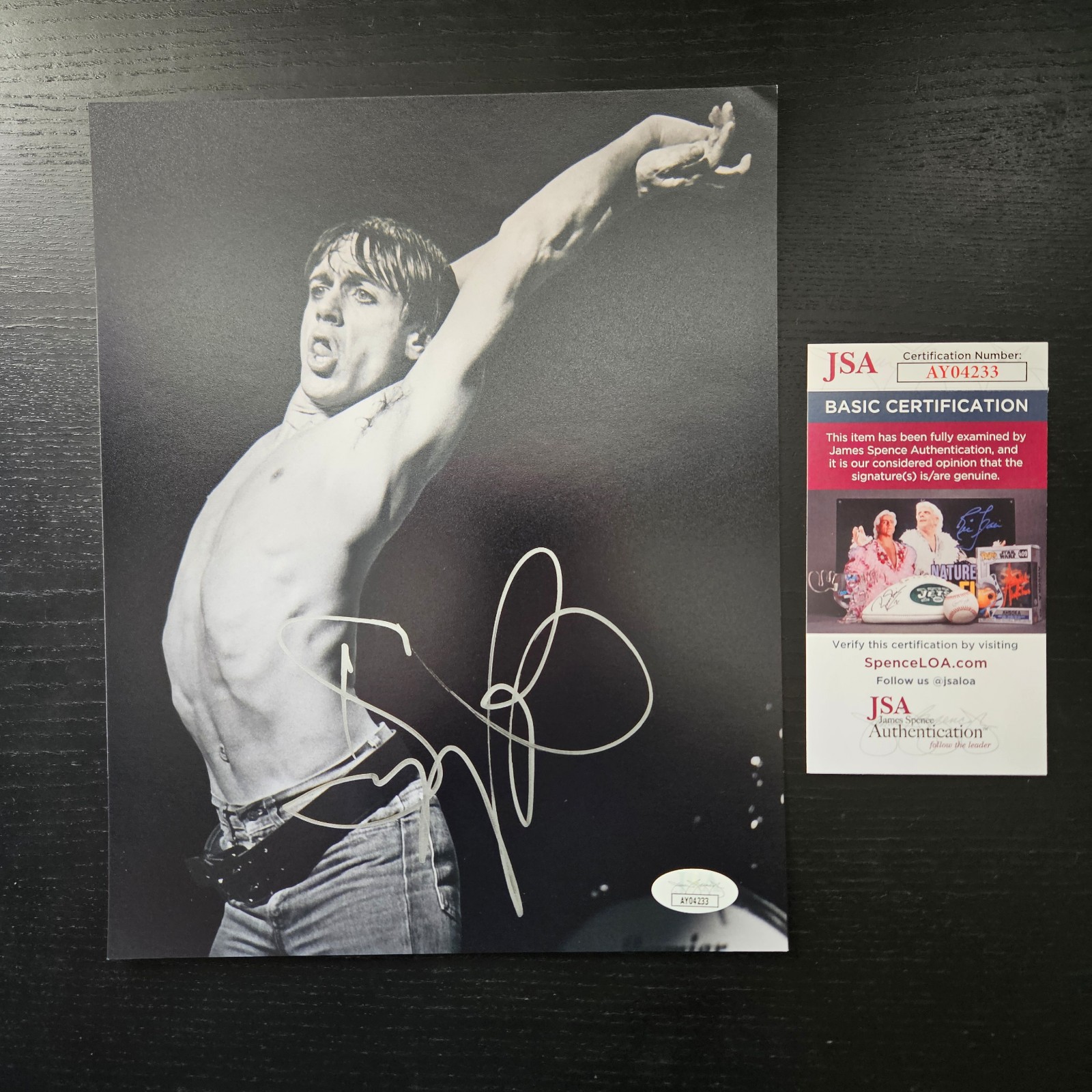 Iggy Pop Signed 8x10 Photo JSA COA The Stooges