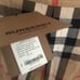 Burberry skirt