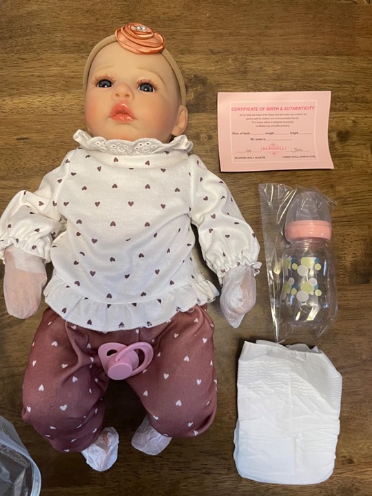 Lifelike Reborn Baby Dolls - 18 Inch Realistic Newborn Baby Dolls Girl, Real