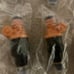 AA Ignition - Ignition Coil Set of 8 for Mopar Vehicles - OEM#280150943
