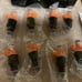 AA Ignition - Ignition Coil Set of 8 for Mopar Vehicles - OEM#280150943