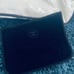 Chanel HTF Makeup Case with pouch