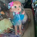 Container literally full of toys ( from McDonald’s toys to baby alive dolls )
