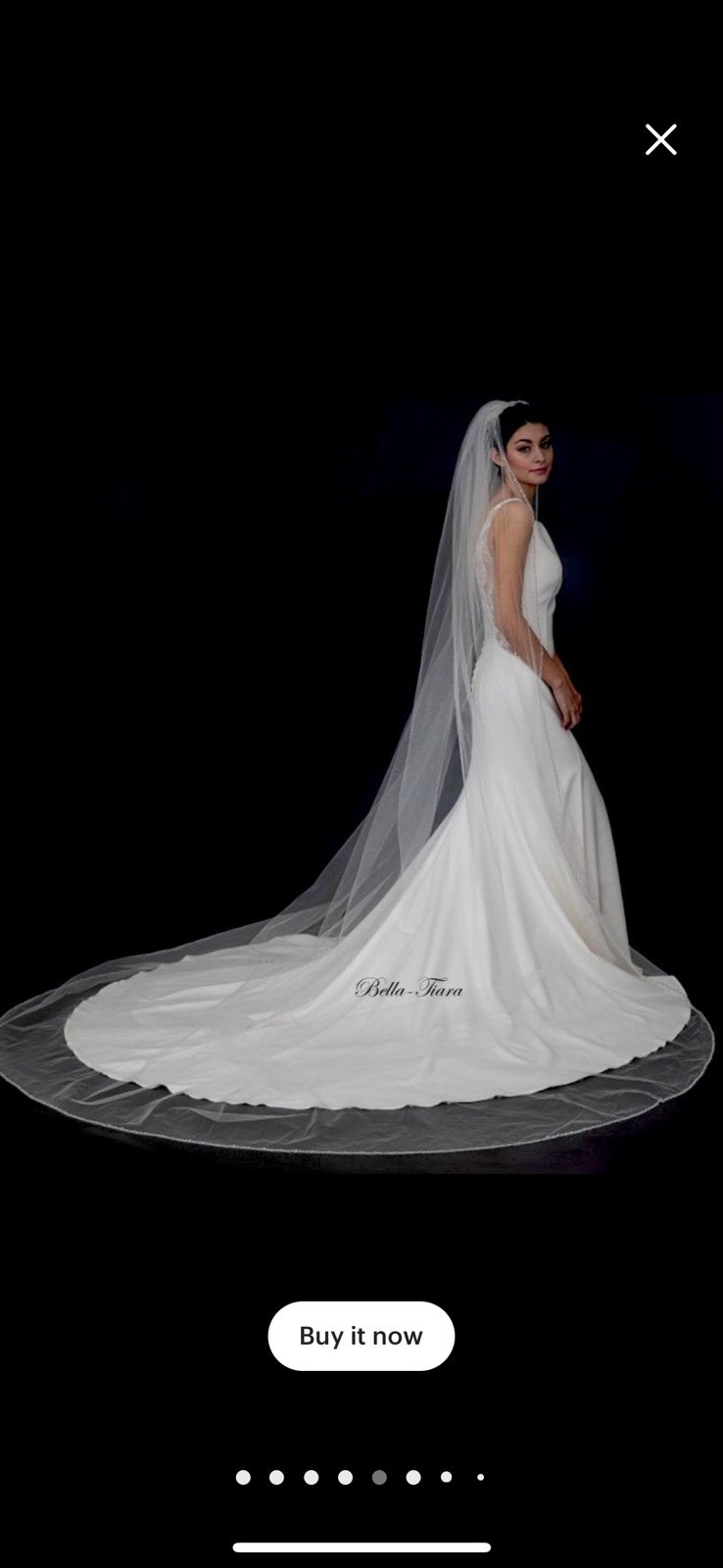 Cathedral veil