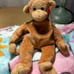 1995 5th Generation “Bongo” Ty Beanie Baby