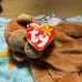 1995 5th Generation “Bongo” Ty Beanie Baby