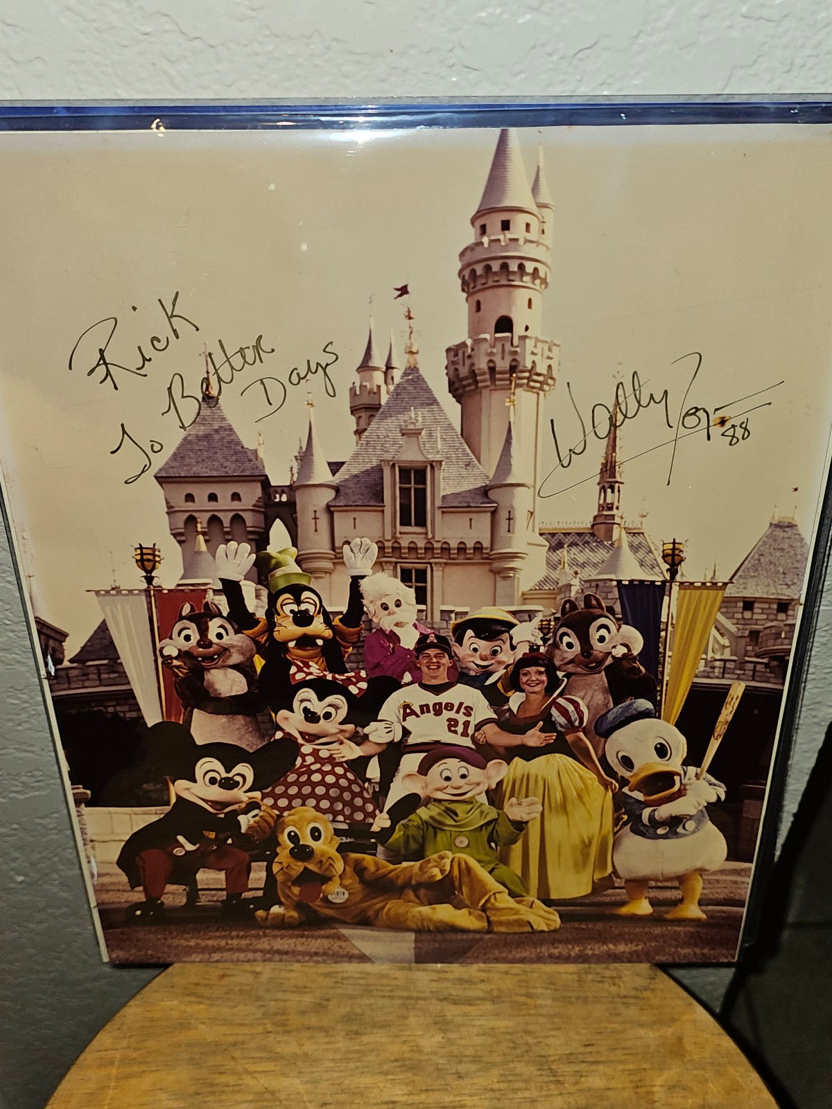 Wally Joyner Disney Autograph picture
