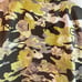 Nike Green Camo/floral Windbreaker NWT Size XL