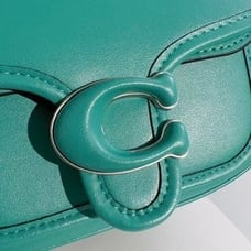 Coach lychee cowhide saddle Bag - Crossbody