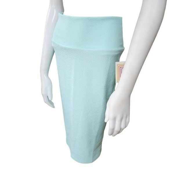 NWT LuLaRoe Pastel Teal Cassie Skirt (XS)