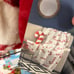 candy cande pillow with faux furry blanket