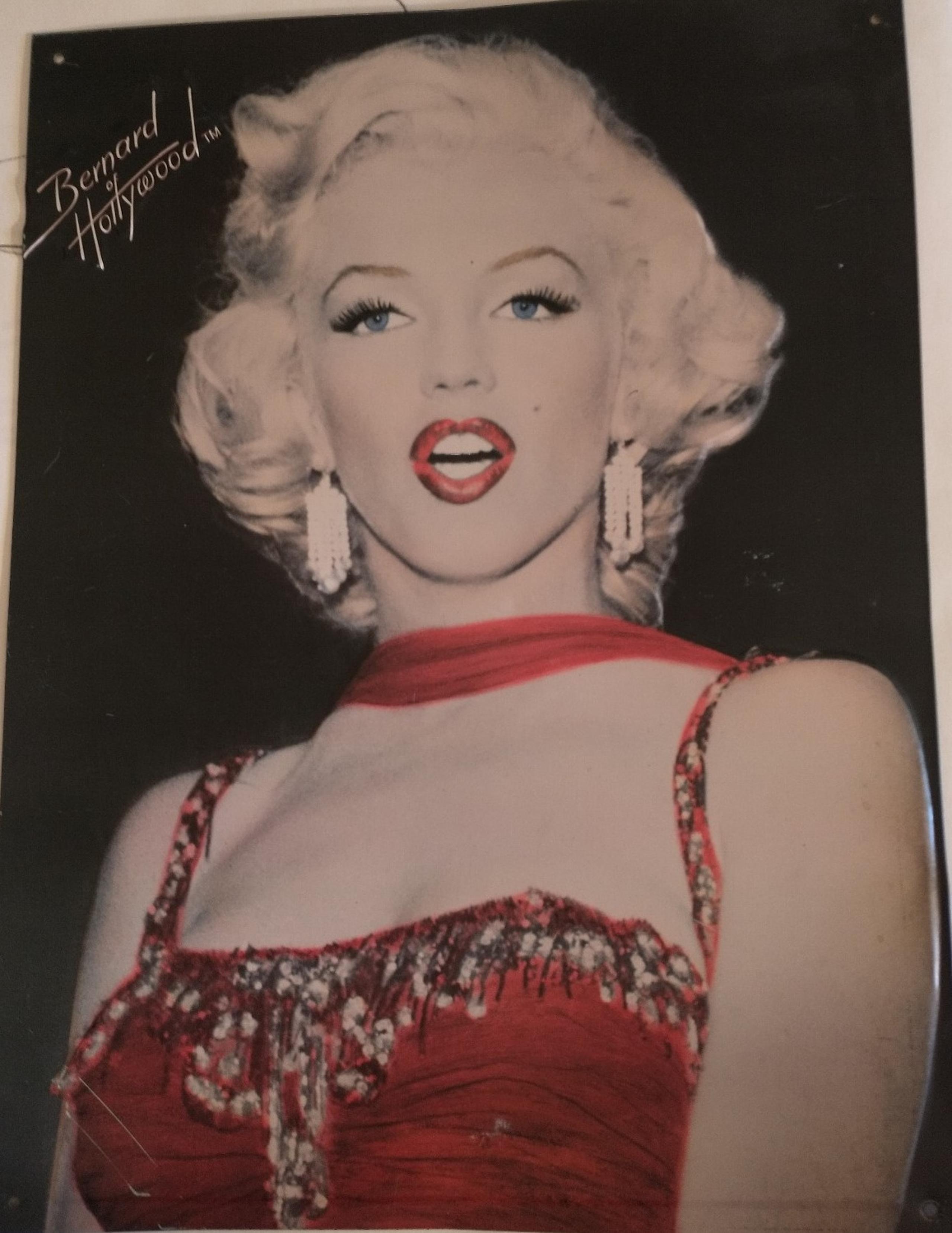 Marilyn Monroe wall art (aluminum)