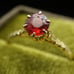 c.1910 Edwardian Engagement Ring Garnet 10k Wheat Leaf Cathedral Setting