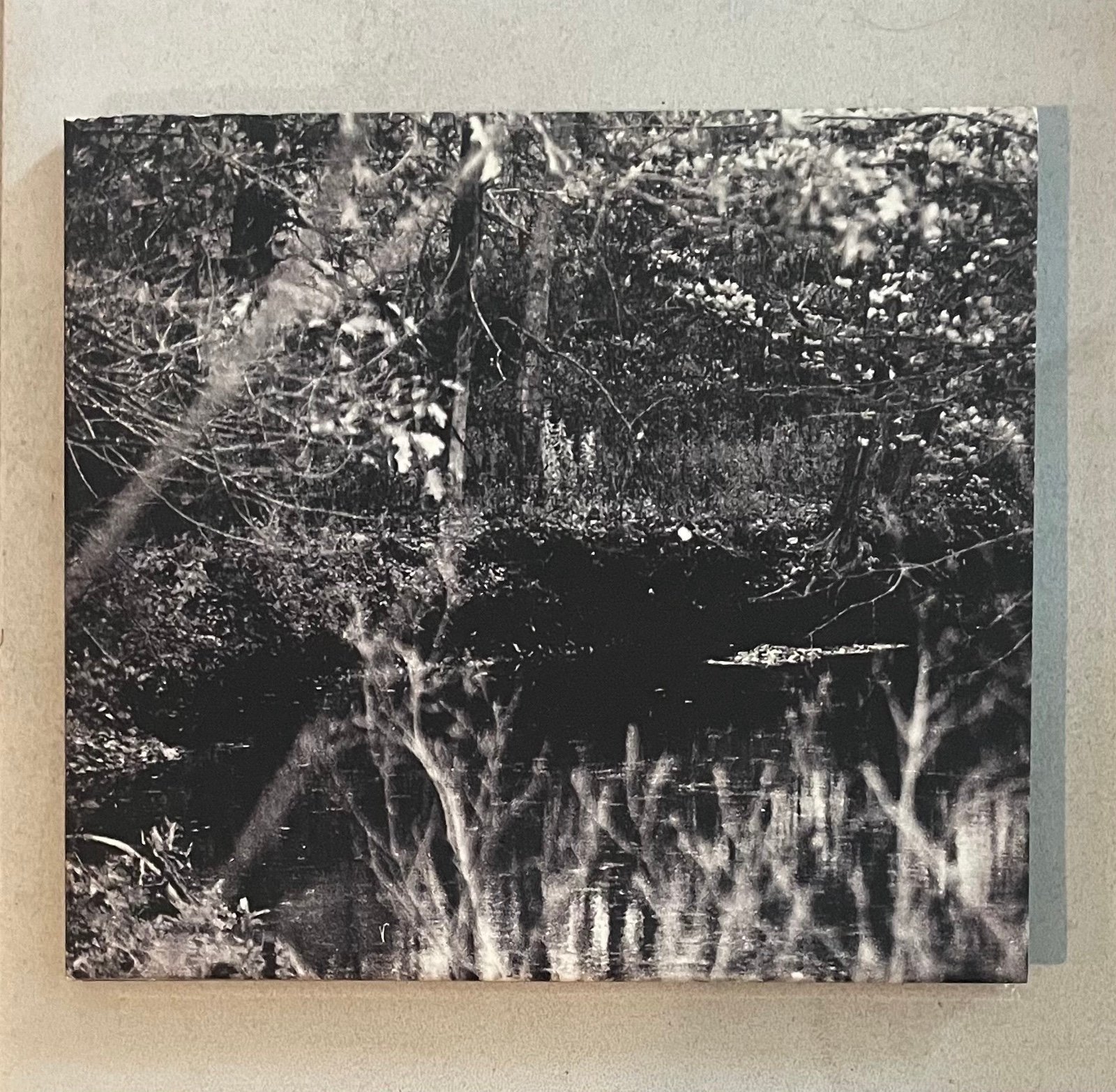 Nocturnal Poisoning Other Worlds Of The Mind Digipak CD Rare Xasthur