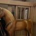 Miniature wooden horse barn with stables Now with 4 Horses !!