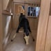 Miniature wooden horse barn with stables Now with 4 Horses !!