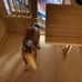 Miniature wooden horse barn with stables Now with 4 Horses !!