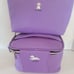 Marc Tetro 2 Bichon Frise Cosmetic Bags NEW