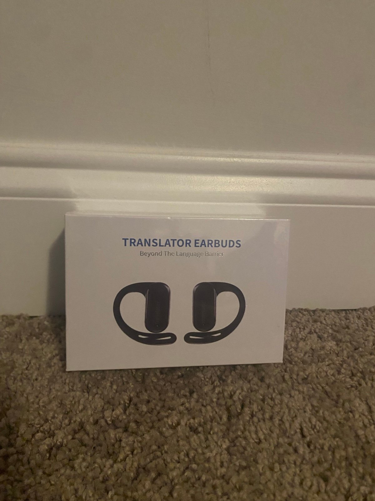 Translator Earbuds