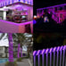 Purple Rope Lights, 110v Flat LED Strip Lights Waterproof Kit - 100 ft.