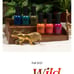 Orly ColorPass Fall 2021 Wild Natured