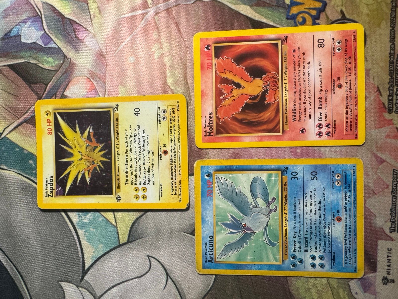Bird trio fossil series
