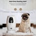 Smart Pet Camera with Treat Dispenser & Tossing