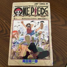 【Rare】One Piece Volume 1 First Edition