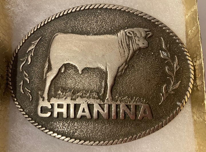 Vintage Metal Belt Buckle, Chianina Cattle, Cow, Nice Design