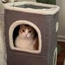 2-Storey Cat House for Indoor Cats Bed, Covered Cat Beds & Furniture
