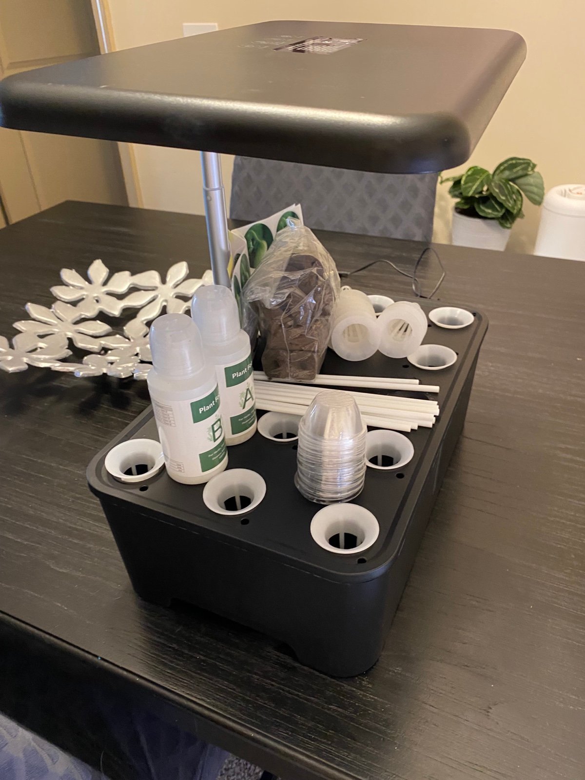 Hydroponic growing system