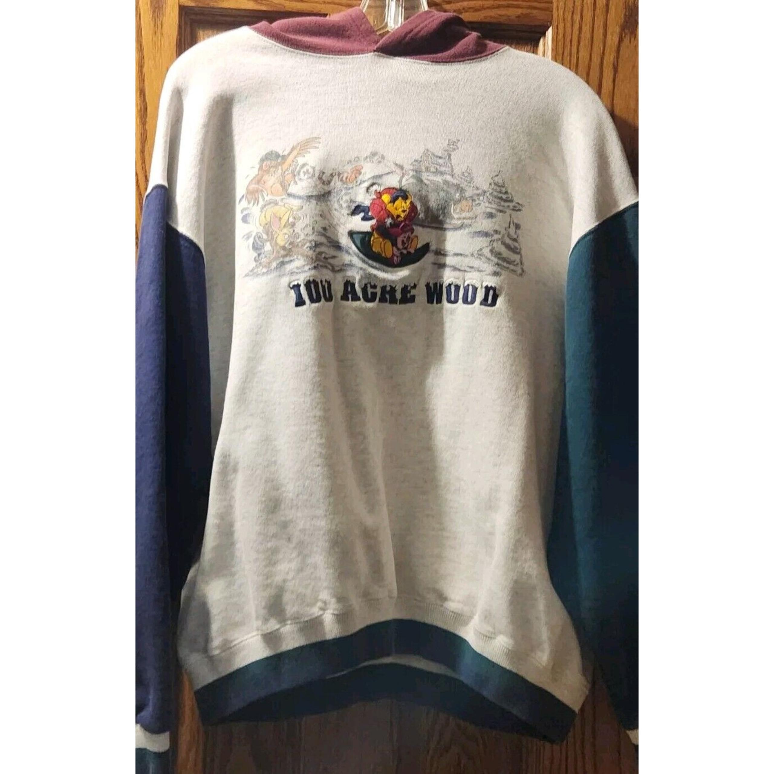 Vintage Disney Store 100 Acre Wood Friends Sweatshirt Women's Mens L w/ Hood