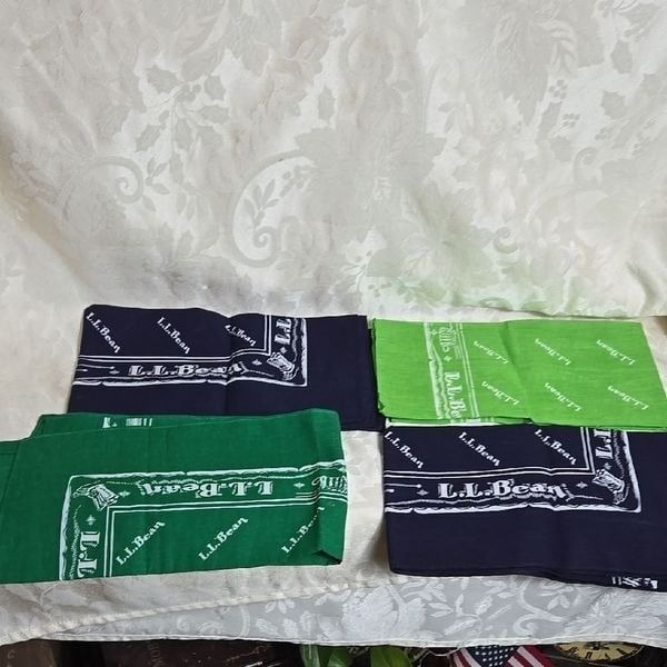 L.L. Bean 4 Bandana Set - Green and Blue