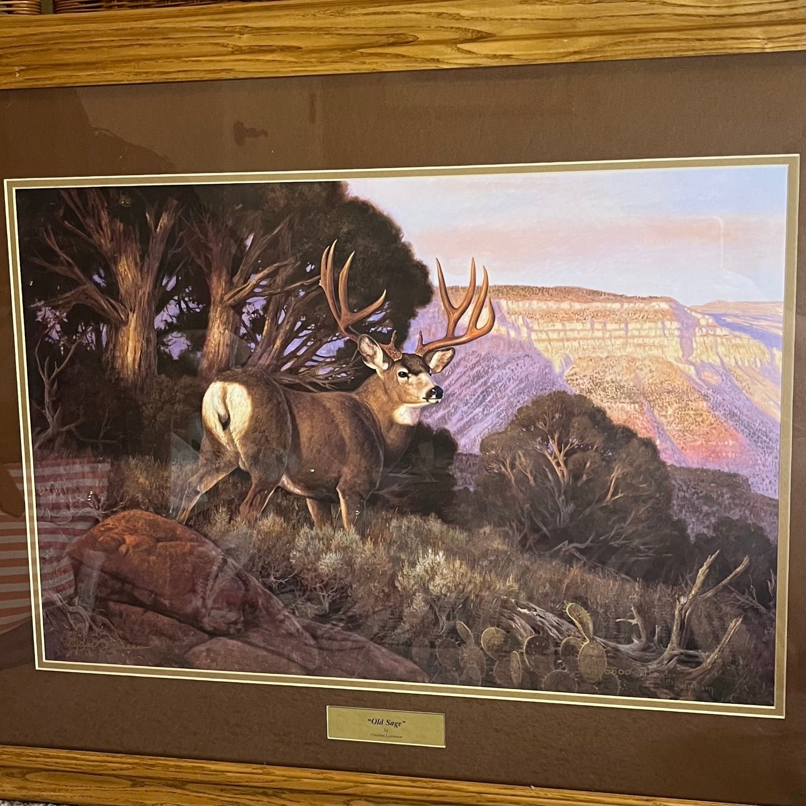 Vintage Hayden Lambson Old Sage buck deer art print signed and numbered