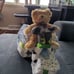 Custom Diaper Cake
