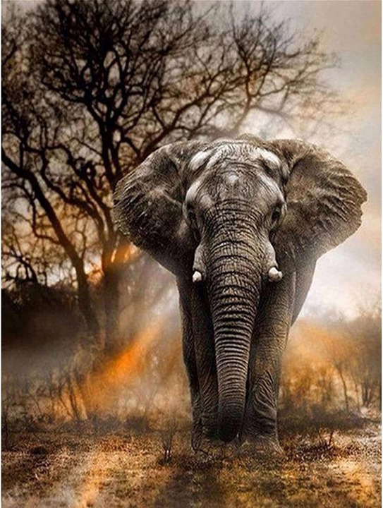 5D Elephant Diamond Painting Kits for Adults 12X16inch