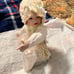 Yolanda Bello's Picture Perfect Babies