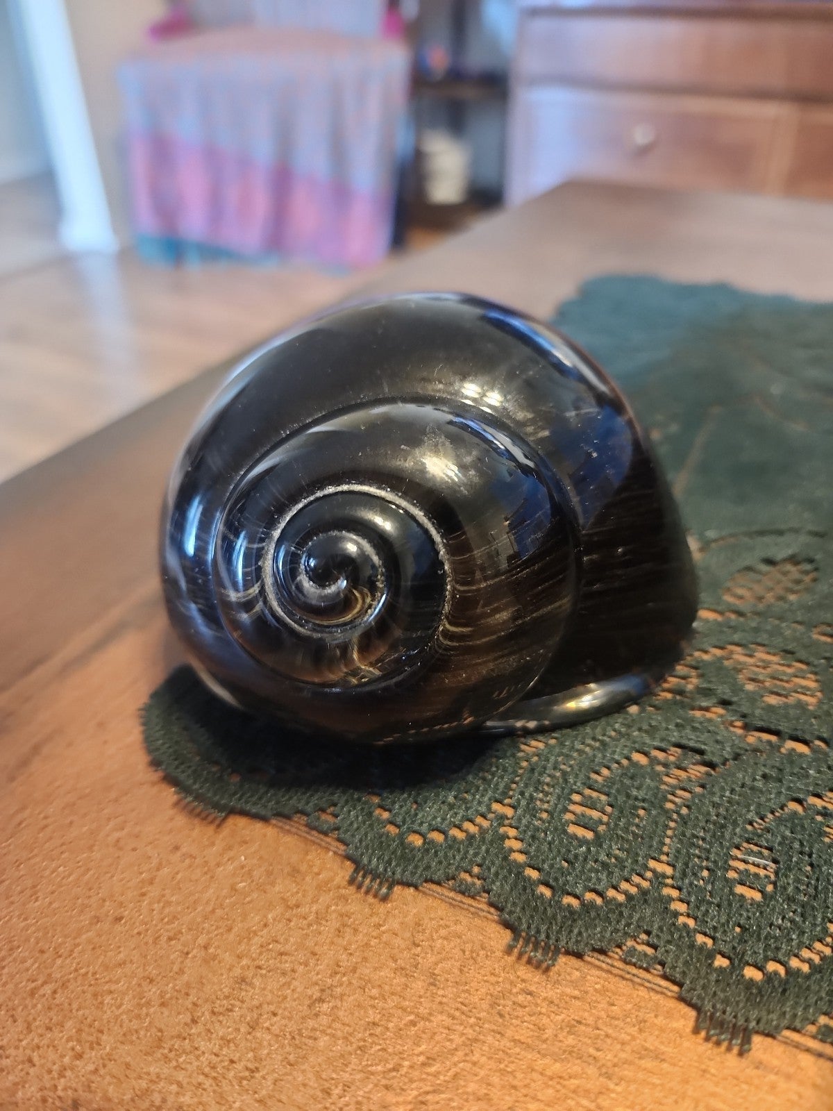 DAUM FRANCE Glass snail shell paperweight