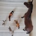 Breyer horses