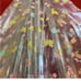 Coach clear bubble umbrella in mystical floral print