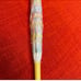 Coach clear bubble umbrella in mystical floral print