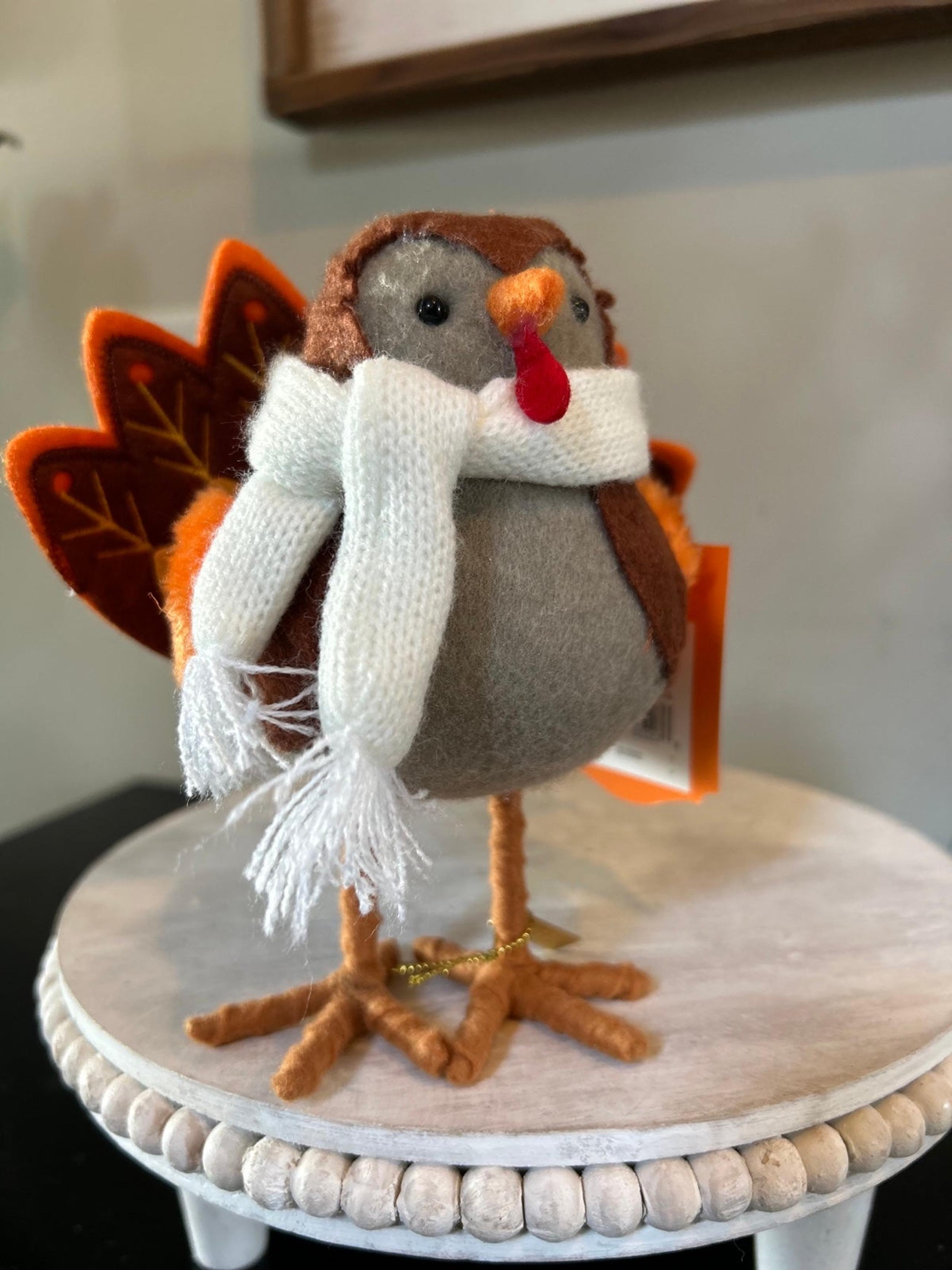 Featherly Friends Target Bird Thanksgiving Turkey