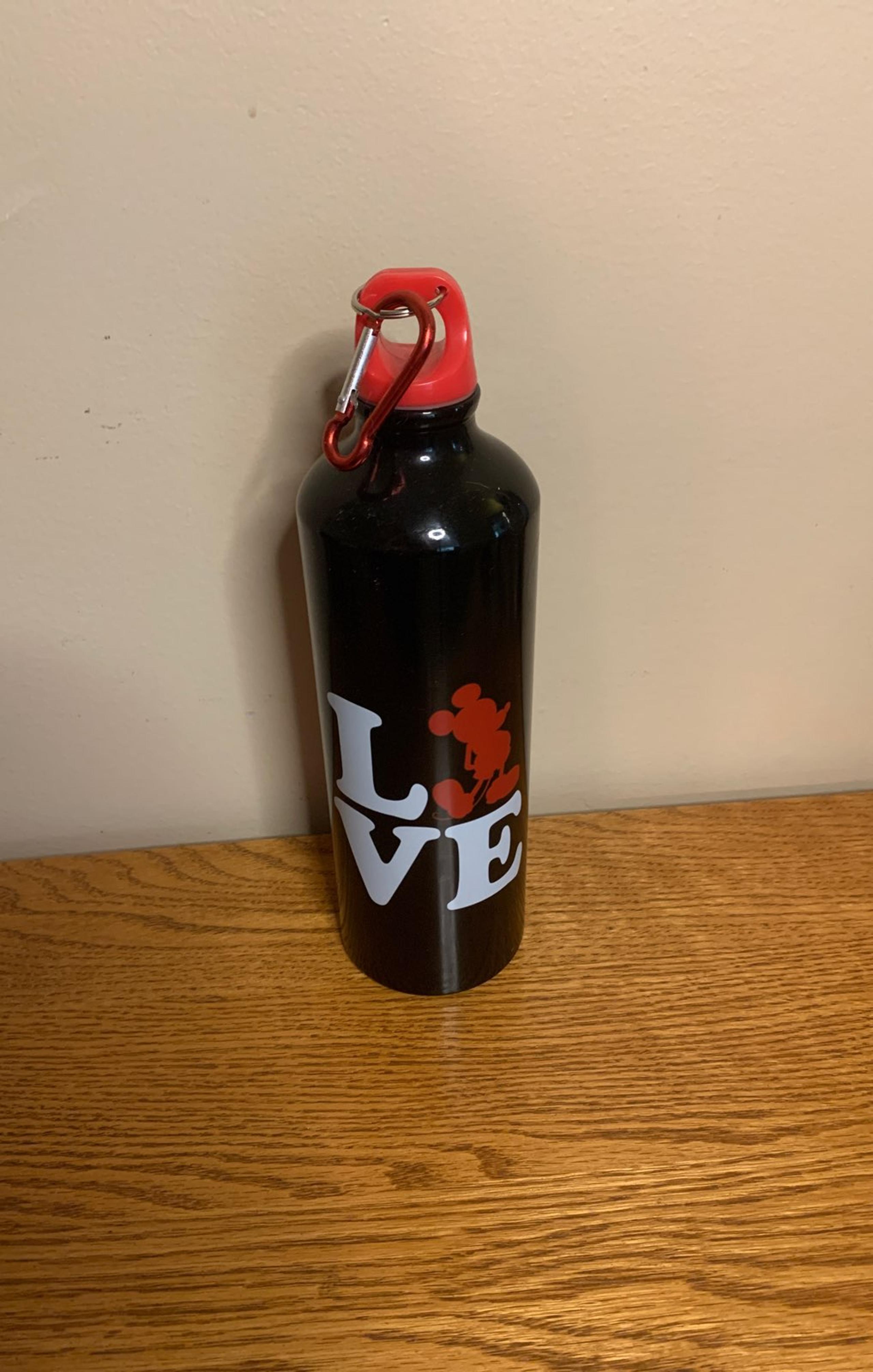 Mickey Mouse love metal water bottle