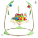 Fisher-Price Rainforest Jumperoo Baby Bouncer Activity Center
