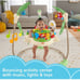 Fisher-Price Rainforest Jumperoo Baby Bouncer Activity Center