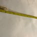 Authentic Louis Vuitton lock and key