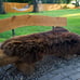 Natural Brown Wool Rug, Plush Blanket