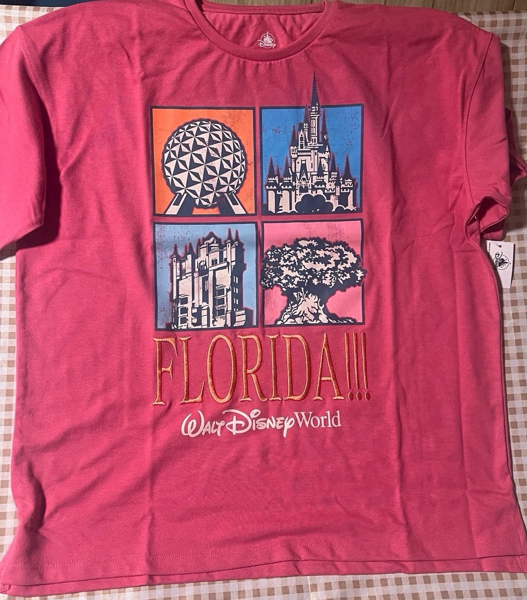 NEW!! Walt Disney World FLORIDA!!! Swiftie Inspired T-Shirt